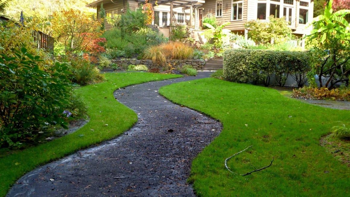 10 tips for å holde hagen frodig hele året