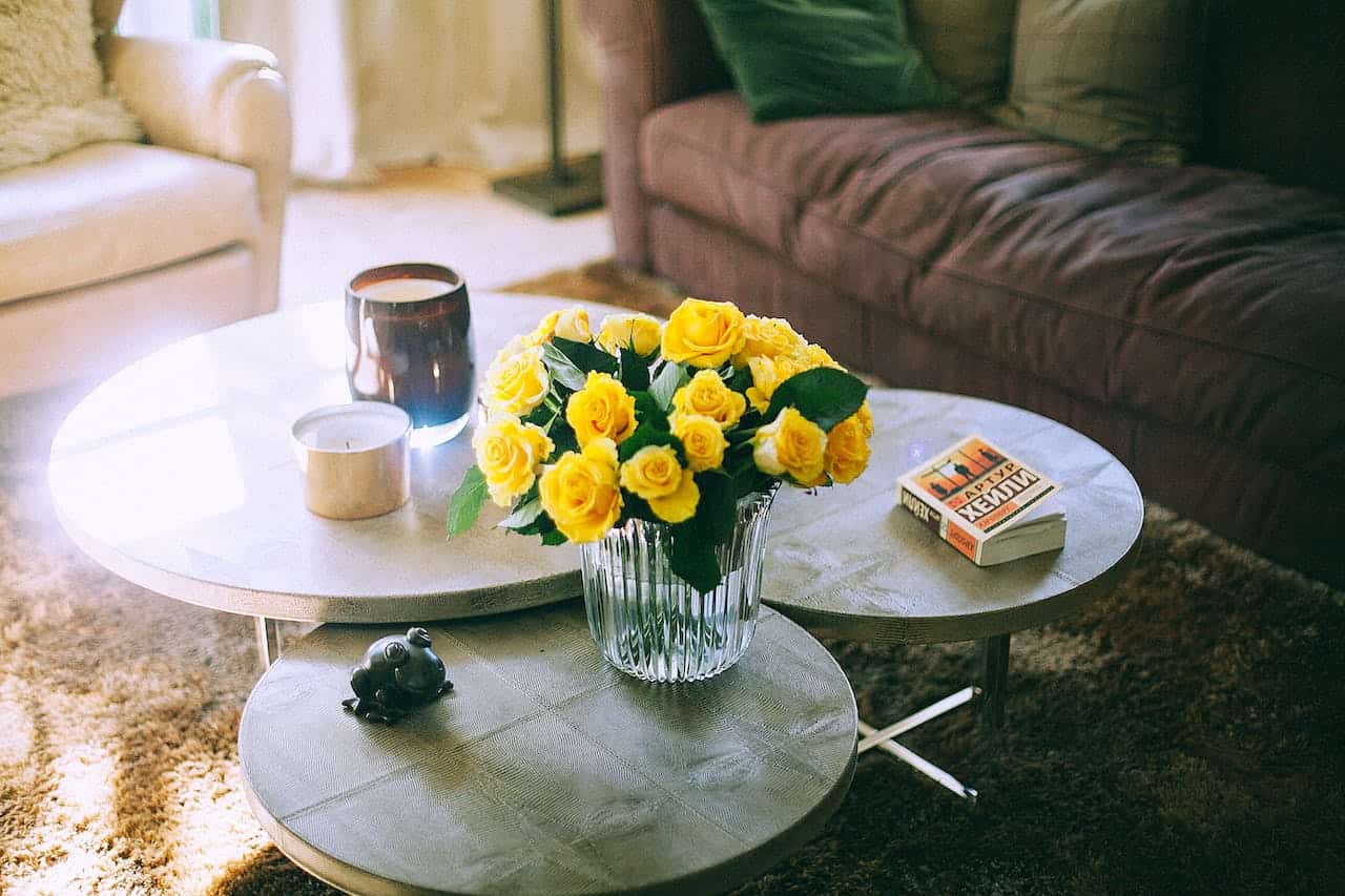 Fargerike blomster som lyser opp hagen